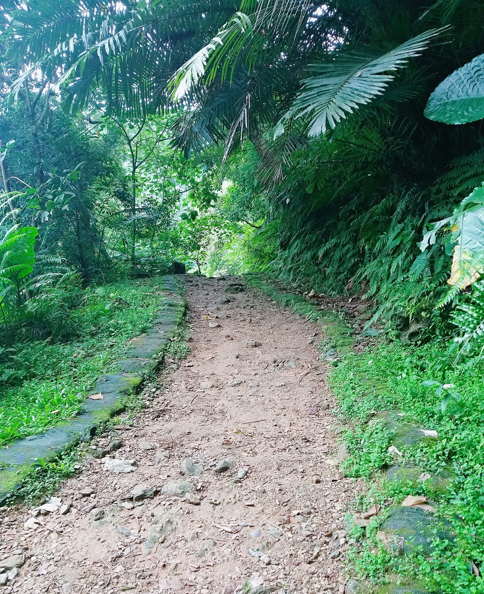 撒固兒步道路面